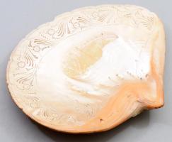 Nagy méretű faragott gyöngyház kagyló 25 cm