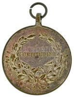 1917. "Károly Ezüst Vitézségi Érem II. osztálya" ezüstözött bronz kitüntetés mellszalag né...