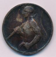 Berán Lajos (1882-1943) ~1920. "Ferencz Városi Torna Club (Ferencváros, FTC, Fradi)" ezüst...