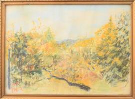 Olvashatatlan jelzéssel (Antal Frigyesné Waldbauer Ilona?): Őszi táj. Kréta, papír. Üvegezett fakeretben. 24x32,5 cm