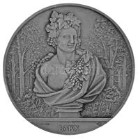 Szovjetunió / Leningrád 1982. "Dionüszosz / A Nyári Kert szobrai" kétoldalas Al emlékérem. Szign.: "S. Ivanov" (57mm) T:AU Soviet Union / Leningrad 1982. "Bacchus / Sculptures of the Summer Garden" two-sided Al commemorative medal. Sign.: "S. Ivanov" (57mm) C:AU