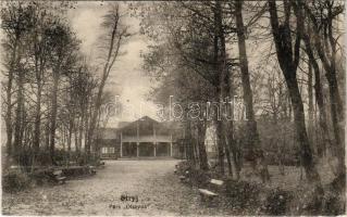 1915 Stryi, Stryj, Strij; Park Olszyna / park (fl)