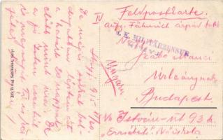 1915 Stryi, Stryj, Strij; Park Olszyna / park (fl)