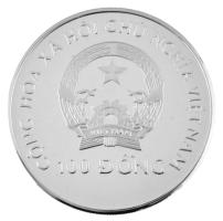 Vietnám 1995. 100D Ag "Olimpiai Játékok - Atlanta" forgalomba nem került emlékkiadás T:PP ...