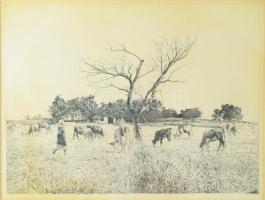 Dudás Jenő (1900-1991): Tihanyi (...). Rézkarc, papír, jelzett. Üvegezett keretben, 29x39 cm