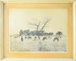 Dudás Jenő (1900-1991): Tihanyi (...). Rézkarc, papír, jelzett. Üvegezett keretben, 29x39 cm