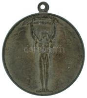 1948 k. "A Magyar Kommunista Párt a sportért" Zn díjérem (36mm) T:XF patina