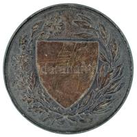 1930 k. "Országos Testnevelési Tanács" ezüstözött bronz emlékérem. Szign.: Berán Lajos (18...