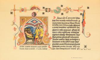 A magyar irodalom története. Képes díszmunka két kötetben. Szerk.: Beöthy Zsolt. I-II. kötet. I. köt...