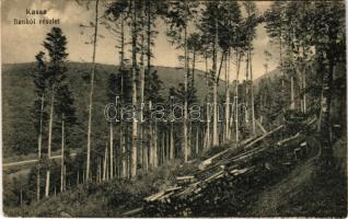 Kassa, Kosice; Bankói részlet, út. Nyulászi Béla kiadása / spa, road in Bankov (fa)