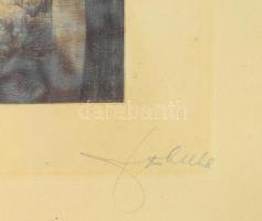 Joseph Uhl (1877-1945): Elhagyatottan (Verlassen). Rézkarc, papír, jelzett, 16,5×27 cm, üvegezett fa...