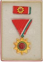 1970. "Felszabadulási Jubileumi Emlékérem" aranyozott, műgyantás bronz kitüntetés mellszalagon, miniatűrrel szalagsávon, eredeti tokban T:AU NMK 712.