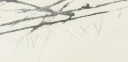 Sinkovics Ede (1971-): "Sárga a parlagon". Szitanyomat, vegyes technika, papír, jelzett, s...