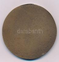 1980 k. "HUNGAVIS - 30 éves Törökszentmiklós Törzsgárda Tagságért" egyoldalas, öntött bron...