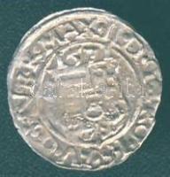 Miksa 1571. Denár Ag ÉH.766a T:3