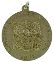 1927. "Somogyi Levente Versenyek / Patria" ezüstözött bronz díjérem füllel (30mm) T:XF