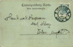 1900 Lviv, Lwów, Lemberg; Plac Bernardynski / Bernardiner-Platz / square, market (fl)