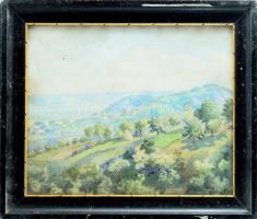 Olvashatatlan jelzéssel: Hegyvidéki táj. Akvarell, papír. Dekoratív, üvegezett, sérült fakeretben. 30x37 cm