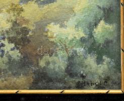 Olvashatatlan jelzéssel: Hegyvidéki táj. Akvarell, papír. Dekoratív, üvegezett, sérült fakeretben. 3...