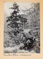 cca 1940 Tarnów, fotóalbum 20 db feliratozott fotóval, 17,5×12,5 cm