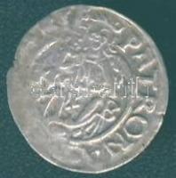 Miksa 1574. Denár Ag ÉH.766a T:3