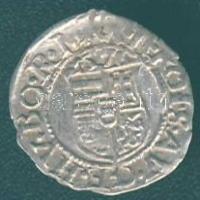 Miksa 1576. Denár Ag ÉH.767a T:3+