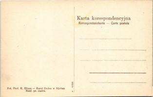 Skole, Droga do Hrebenowa / road to Hrebeniv, railway line. Fot. Prof. K. Eljasz