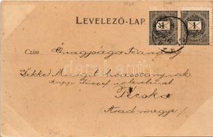 1898 Előpatak, Valcele; Alsó park részlet. Benkő M. kiadása / park (EK)