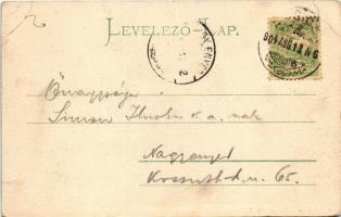 1904 Resicabánya, Resica, Resicza, Resita; Gyár, kémények. Braumüller L. kiadása / factory, industri...