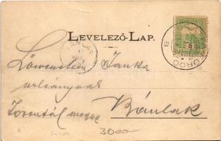 1903 Bártfafürdő, Bardejovské Kúpele, Bardiov, Bardejov; Ásványvízfürdők az Erzsébet királyné forrás...