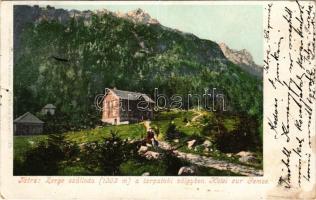 1900 Tátra, Magas Tátra, Vysoké Tatry; Zerge szálloda a tarpataki völgyben. Kiadja Cattarino 125. / Hotel Gemse in the valley (EK)