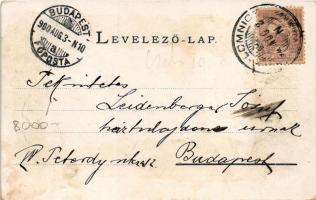 1900 Tátra, Magas Tátra, Vysoké Tatry; Zerge szálloda a tarpataki völgyben. Kiadja Cattarino 125. / ...