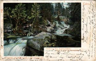 1902 Tátra, Magas-Tátra, Vysoké Tatry; A Tarpataki völgy tájképrészlete a nagy zuhatagon alul. Feitzinger Ede 54bt. Auto-Chrom / Partie aus dem Kohlbachtale unter d. grossen Wasserfalle / waterfall + "PALOTA UJFALU POSTAI ÜGYN." (EB)