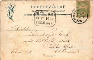 1902 Tátra, Magas-Tátra, Vysoké Tatry; A Tarpataki völgy tájképrészlete a nagy zuhatagon alul. Feitz...