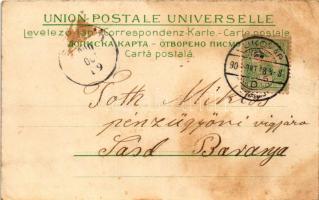 1900 Kevevára, Temeskubin, Kovin; Szemendriai várromok / Ruinen der Festung Semendria / castle ruins...