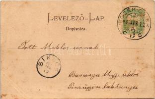 1902 Eszék, Essegg, Osijek; Gornji grad / Oberstadt. Eugen Selzer / látkép / general view (EB)