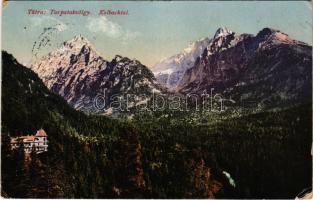 1918 Tátra, Magas-Tátra, Vysoké Tatry; Tarpatakvölgy. Cattarino S. utóda Földes Samu kiadása 1917. 217. sz. / Kohlbachtal (felületi sérülés / surface damage)