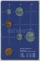 Hollandia 1986. 5c-2 1/2G (5xklf) forgalmi sor műanyag tokban, pénzverdei zsetonnal T:UNC, oxidáció
...