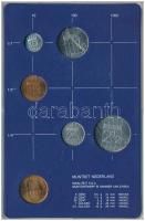 Hollandia 1984. 5c-2 1/2G (5xklf) forgalmi sor műanyag tokban, pénzverdei zsetonnal T:UNC, repedt to...