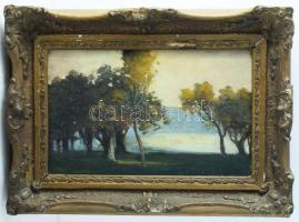 Markó Ernő (1868-1945): Vízparti táj. Olaj, karton. Jelzett. Dekoratív, sérült fakeretben. 20×32 cm
