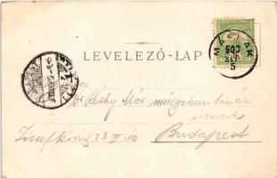 1903 Lippa, Lipova; Solymoser Schlossruine, Mária-Radna mit der Kirche / Solymosi vár, Máriaradnai k...