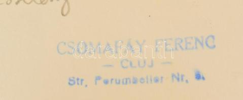 Wándza Mihály (1781-1849) kolozsvári színházának maradványai, amit Wesselényi Miklós lovardájából al...