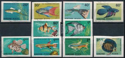 1962 Akváriumi díszhalak vágott sor