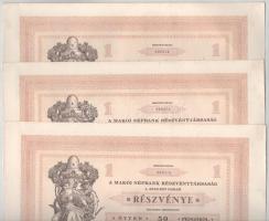 1929 Makó "Makói Népbank Részvénytársaság" részvénye 50P-ről, szelvényekkel, szárazpecsétt...