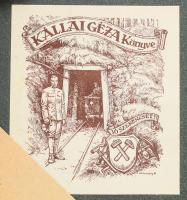 Verbrennungsmaschinen. Bányász ex libris (Haranghy Jenő) . München, R. Oldenburg. 618p. Kiadói vászo...