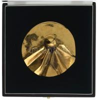 1995. "Pro Inventore 1995" bronz érdemérem eredeti dísztokban (93mm) T:AU