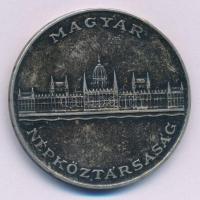 1956. 25Ft Ag "10 éves a Forint (Jó Forint sor)" T:XF patina
Adamo EM6