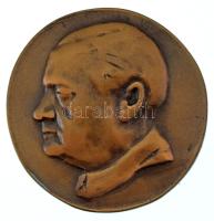 1950 k. Molnár Erik (1894-1966) kommunista politikust ábrázoló egyoldalas bronz emlékérem (52mm) T:AU