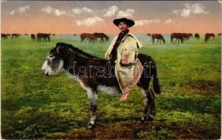 Hortobágy, Csikós gyerek a csacsin, magyar folklór. Élet a Hortobágyon (EK)