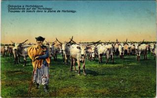 Hortobágy, Ökörgulya a Hortobágyon, magyar folklór (b)
